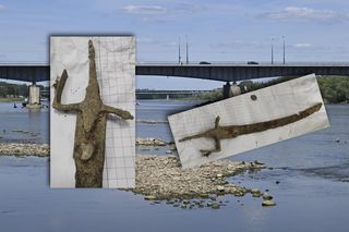 Wisła oddaje skarby. Kolejne sensacyjne odkrycie, zabytkowa szabla wyłowiona z rzeki