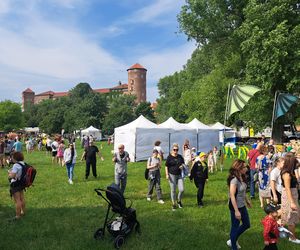 Smoczy Piknik Rodzinny 2025 w Krakowie