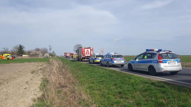 Sprawca śmiertelnego wypadku na drodze Miejska Górka-Sobiałkowo aresztowany