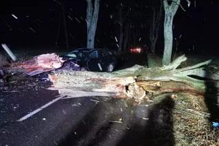 Dla ukochanego chcę stanąć na nogi