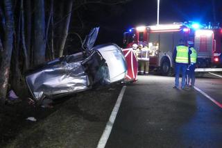 Wypadł z drogi i gruchnął w drzewo. Zginął na miejscu