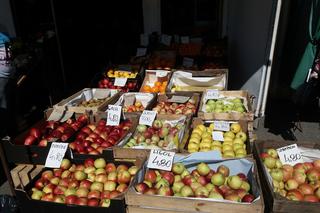 Międzyrzecz: Obłędne ceny jabłek. Są droższe od bananów! 