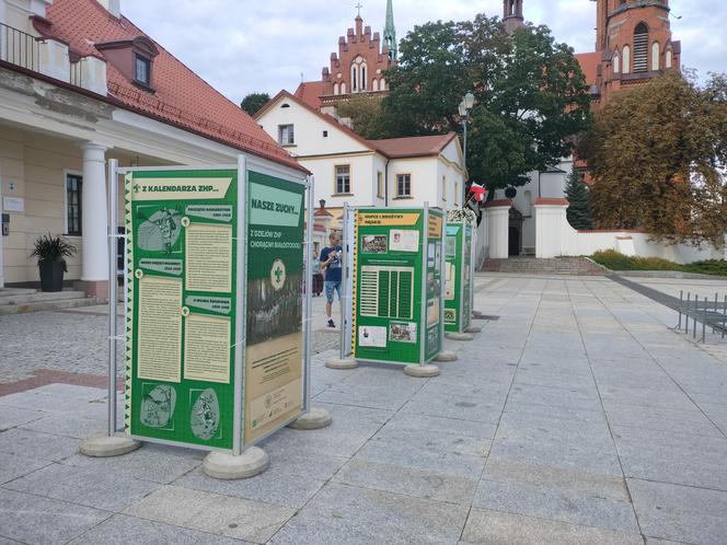 Wystawa „Nasze zuchy… Z dziejów ZHP Chorągwi Białostockiej” z okazji 100-lecia Chorągwi.