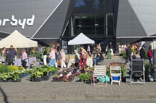 Jesienny Kiermasz Ogrodniczy w Bydgoszczy przyciągnął miłośników zieleni i smakołyków!