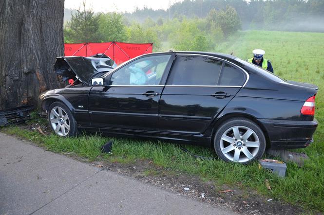 Tragiczny wypadek na DK 22. BMW uderzyło w drzewo. Kierowca chciał uniknąć zderzenia z sarną. Zginął 29-latek [ZDJĘCIA]