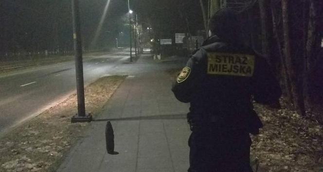 Gdańsk: Pocisk artyleryjski na chodniku! Saperzy w akcji [ZDJĘCIA]