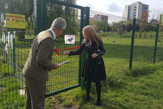 Pastwisko dla koni w Sosnowcu