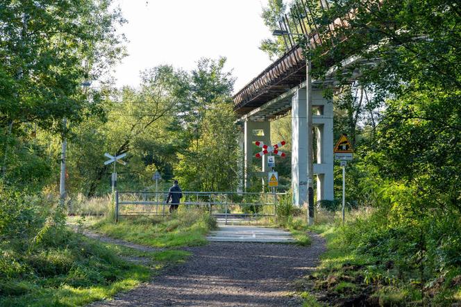 Katowice będą miały swoją pierwszą velostradę