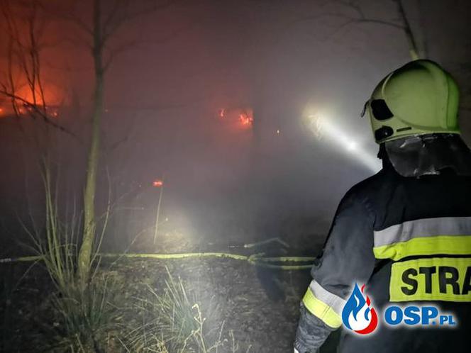 Obrazy jak z HORRORU! Drewniany budynek doszczętnie spłonął 