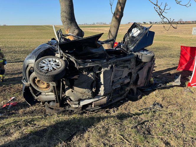 Tragedia na drodze pod Nysą. Samochód wjechał w drzewo. Nie żyją cztery osoby