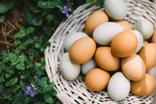 Czy kolor skorupki jajka wpływa na smak? Odpowiadamy