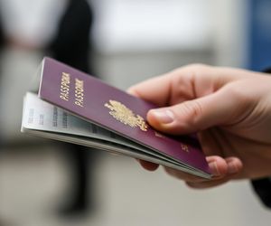 Rozbicie szajki w Polsce. Legalizowali pobyt dla 1500 cudzoziemców