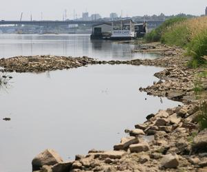 Wisła wysycha, tak źle nie było od lat. „Wszyscy to odczujemy”