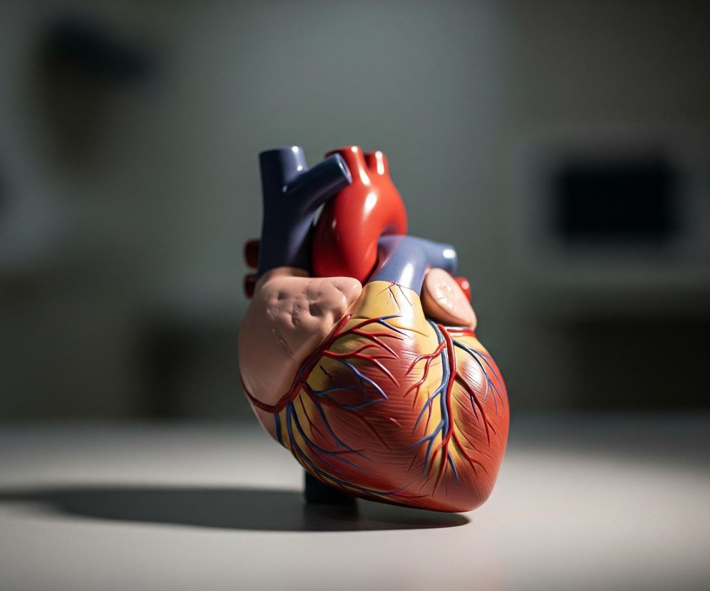 Model anatomiczny ludzkiego serca, przedstawiony od przodu, dominuje centrum obrazu, spoczywając na jasnoszarym, gładkim blacie. Serce ma realistyczne kolory, z przeważającą czerwienią mięśnia sercowego, niebieskimi żyłami i czerwonymi tętnicami, a także jasnoróżowymi elementami budowy przedsionków i beżowymi odcieniami tłuszczu. Na górze widoczne są duże naczynia krwionośne w kolorach czerwonym i ciemnoniebieskim, wychodzące z serca. Tło jest rozmyte i ciemne, z jaśniejszymi fragmentami po lewej stronie i ciemniejszymi po prawej, sugerującymi obecność innych obiektów.