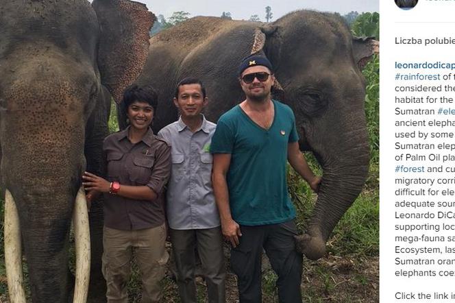 Leonardo DiCaprio w Indonezji