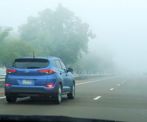 Te regiony spowiły gęste mgły! IMGW ostrzega. Kierowcy, miejcie się na baczności 