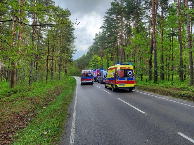 Dachowanie na drodze Wąchock - Mirzec
