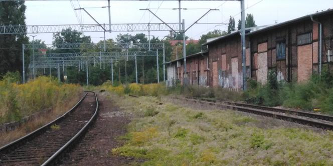 Stacja Szczecin Turzyn