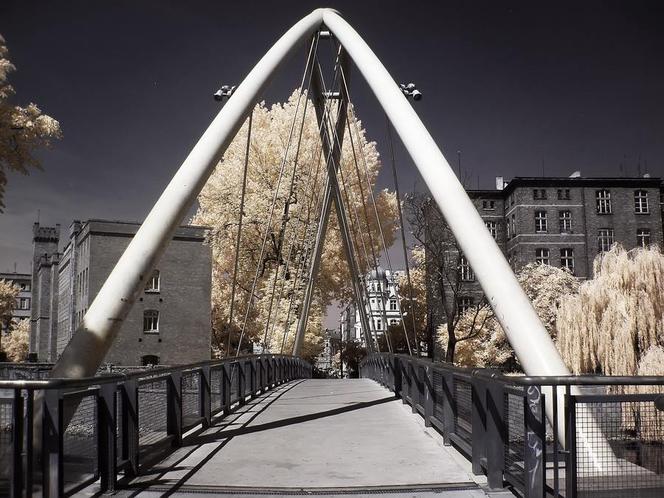 Wrocław w podczerwieni