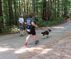 Bieg i marsz nordic walking o Puchar Miejskiej Góry