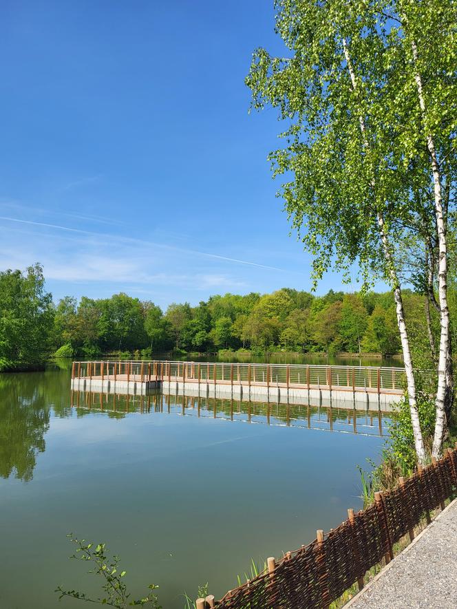 Kraków - Park Tetmajera