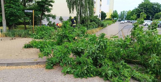 Burze nawiedziły województwo kujawsko-pomorskie. Zdjęcia z akcji strażaków
