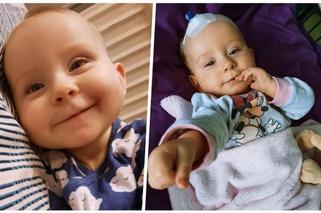 Pan Tomasz przejdzie przez całą Polskę, żeby uratować śmiertelnie chorą córeczkę Zosię. Ona jest dla nas całym światem