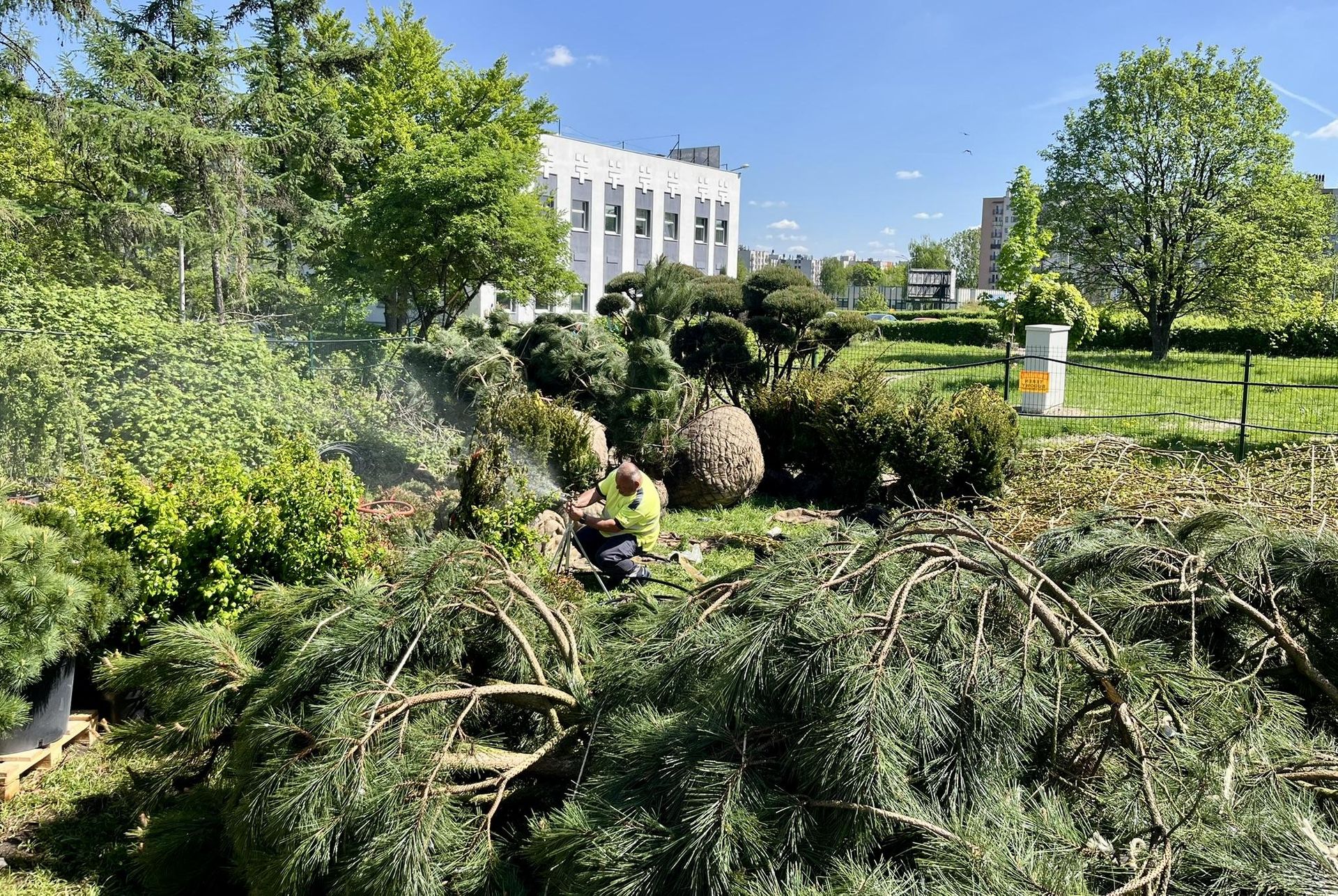 Pionowy lat w Katowicach na budynku Damrota Garden