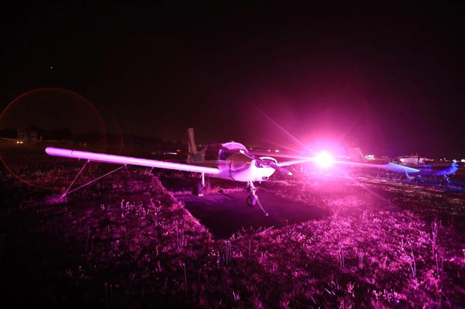 Auto Skyway Festival w Toruniu. Tak wyglądają atrakcje