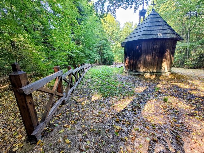 Świętokrzyski Park Narodowy zyskuje nowe, przyjazne oblicze wejścia głównego