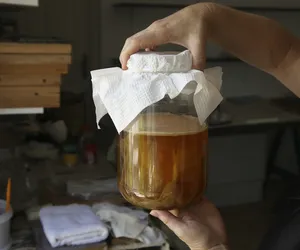 Znana jest ze zdrowotnych właściwości. W nadmiarze prowadzi do przedawkowania fluoru 