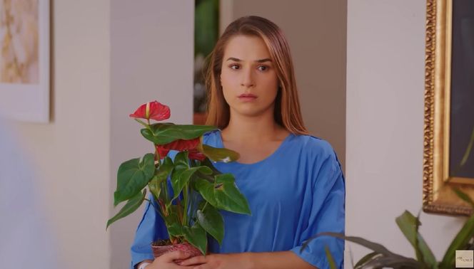 Miłość i nadzieja odc. 272. Sila