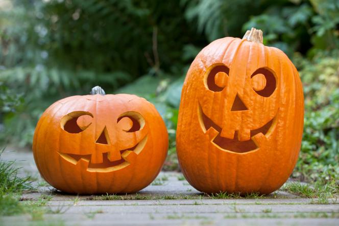 Dekoracje z dyni na Halloween