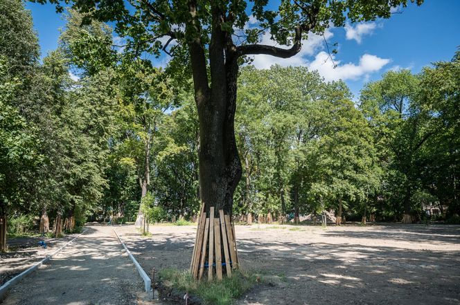 Rewitalizacja parku Bronowickiego w lublinie - postęp prac na koniec lipca 2025