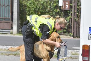 Do poszukiwań Dawidka zostały włączone specjalne psy niemieckiej policji