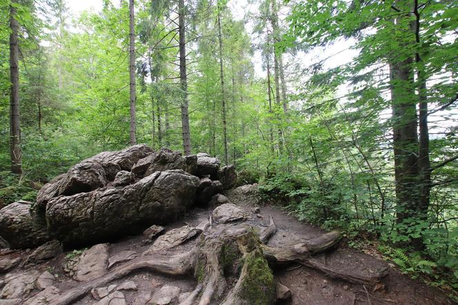 Najpiękniejszy kanion w Polsce leży w Małopolsce. Przeczesywali go poszukiwacze skarbów [