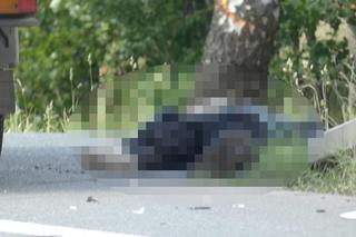 Wymusił pierwszeństwo przed motocyklistą. 62-latek wpadł pod ciężarówkę. Zginął na miejscu