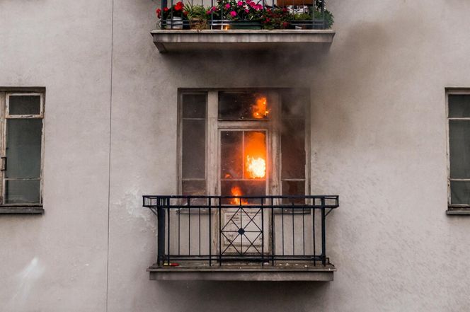 Największe zadymy na Marszu Niepodległości