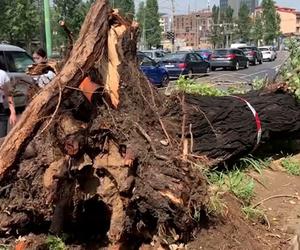 Włochy. Śmiertelna ofiara burz na północy, kilku rannych