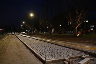 Bydgoszcz oświetla drzewa. Nastała jasność nad wiekowymi kasztanowcami