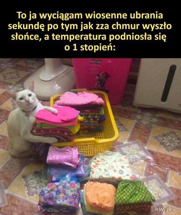 Memy na wiosnę 2023. Te najlepsze obrazki rozbawią Cię do łez!