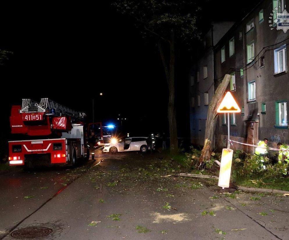 Bytom: Kierowca forda roztrzaskał się na drzewie