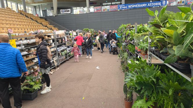 Festiwal Roślin znów zachwycił bydgoszczan! Setki gatunków i wyjątkowa atmosfera