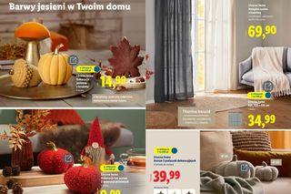 Jesienne promocje w Lidlu