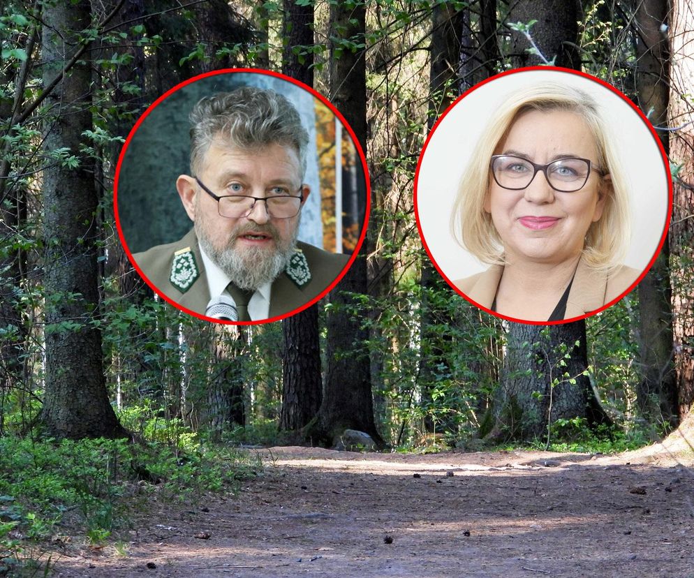 Szef Lasów Państwowych odwołany! Minister Hennig-Kloska podjęła decyzję. Co się stało?