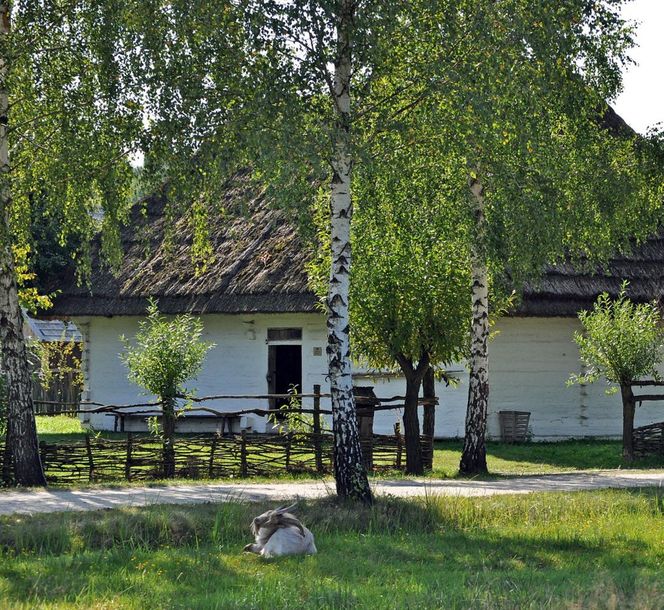 Muzeum Kultury Ludowej w Kolbuszowej - tu kręcono sceny do serialu "1670"