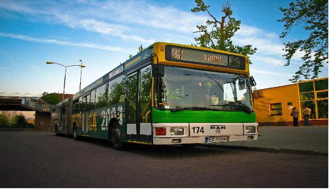 Wakacyjna zmiana w rozkładzie jazdy zielonogórskich autobusów!