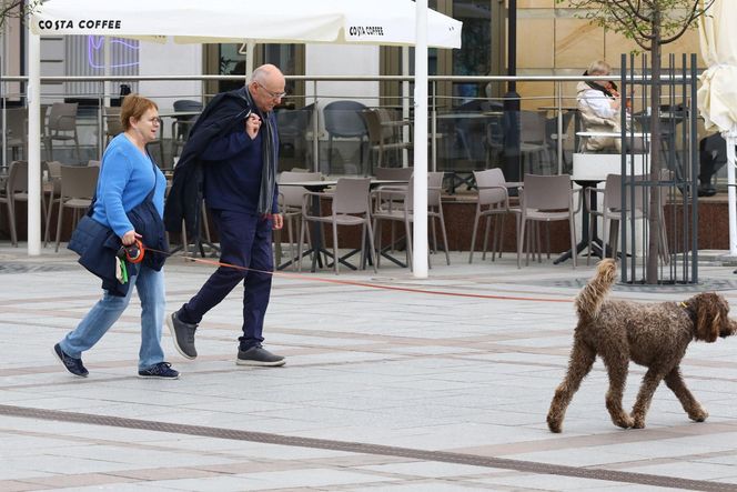 Ilona Łepkowska z mężem i psem na spacerze w Sopocie