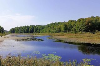 Puszcza Białowieska to idealny pomysł na odwiedziny jesienią