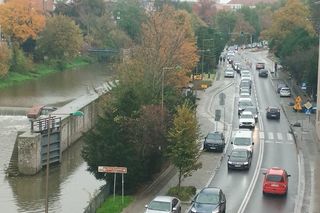 Korki zmorą opolskich kierowców